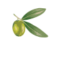 logo_aseyte_square_white